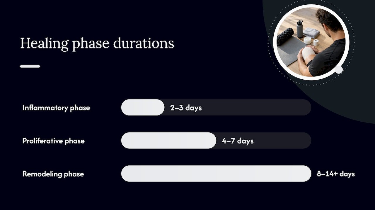 Why Healing Phases Determine When You Can Work Out — overview diagram